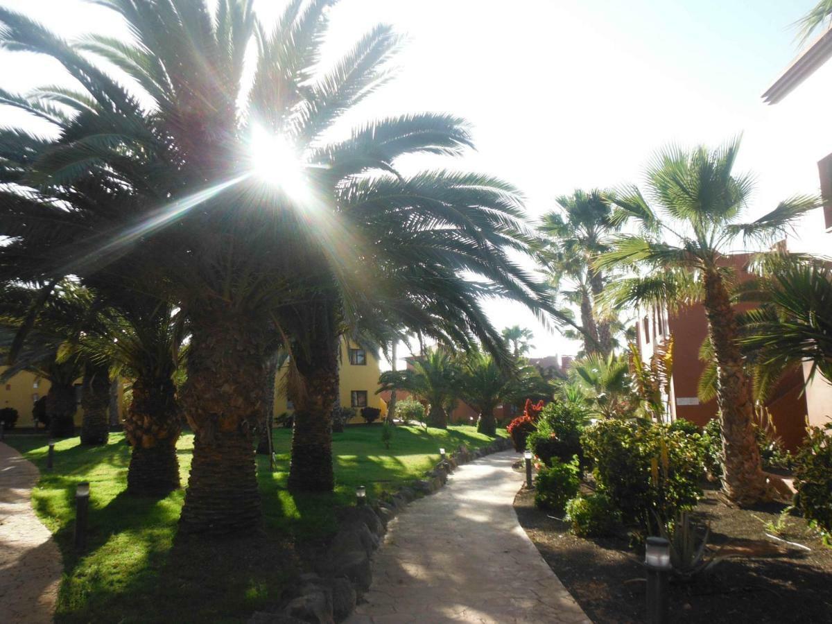 Ferienwohnung Oasis Vistamar Corralejo Exterior foto